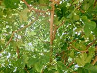 Nachhaltigkeit ist Herzenssache Nachhaltigkeit ist Herzenssache